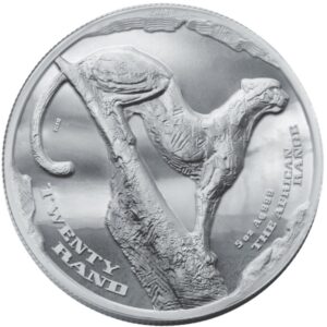 The 2026 5 oz Silver African Range Surveying Cheetah is a five-ounce .999 fine silver high-relief proof coin from the South African Mint, launching The African Range series in partnership with sculptor Dylan Lewis.