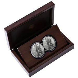 2025 1 oz Silver Big Five Rhino - Series 3 proof double capsule box reverse
