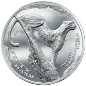 2026 1 kg Silver African Range Surveying Cheetah - Reverse