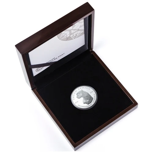 2026 1 kg Silver African Range Surveying Cheetah - obverse