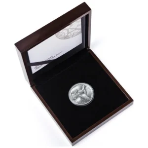 2026 1 kg Silver African Range Surveying Cheetah - Reverse